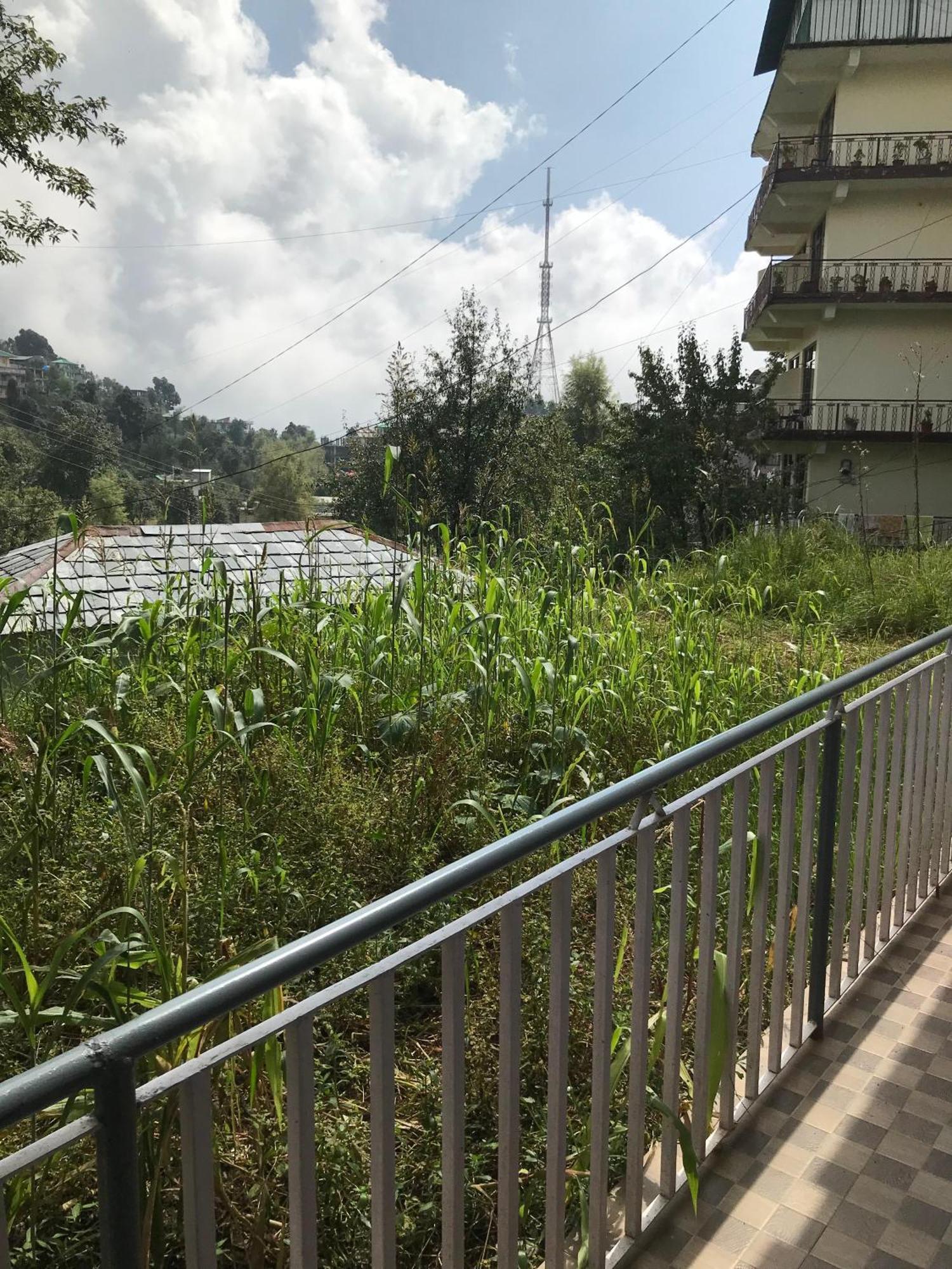 Mcleodganj Diaries Guest House دارامشالا المظهر الخارجي الصورة